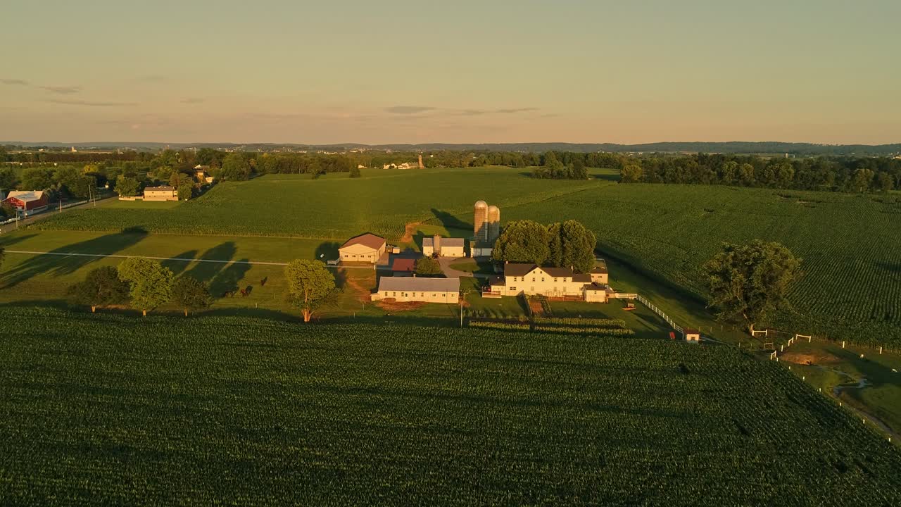 Una veduta aerea di fattorie e campi Amish durante l'ora d'oro in un tardo pomeriggio estivo