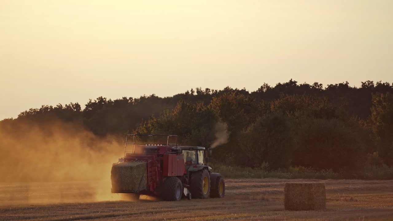Close-up tractor baling dry grass in the evening. Agricultural machine pressing hay into square bale on the field at sunset.
