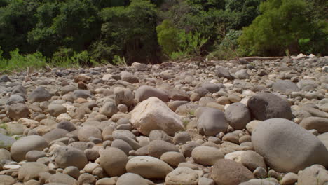 rocas de río cerca de una montaña en una selva de veracruz, méxico