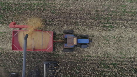 maiz cosecha campo maquinas cosecha toma aerea intensa productividad