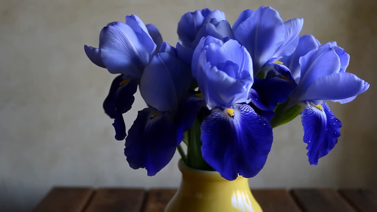 Vibrant Blue Iris Bouquet in a Yellow Vase