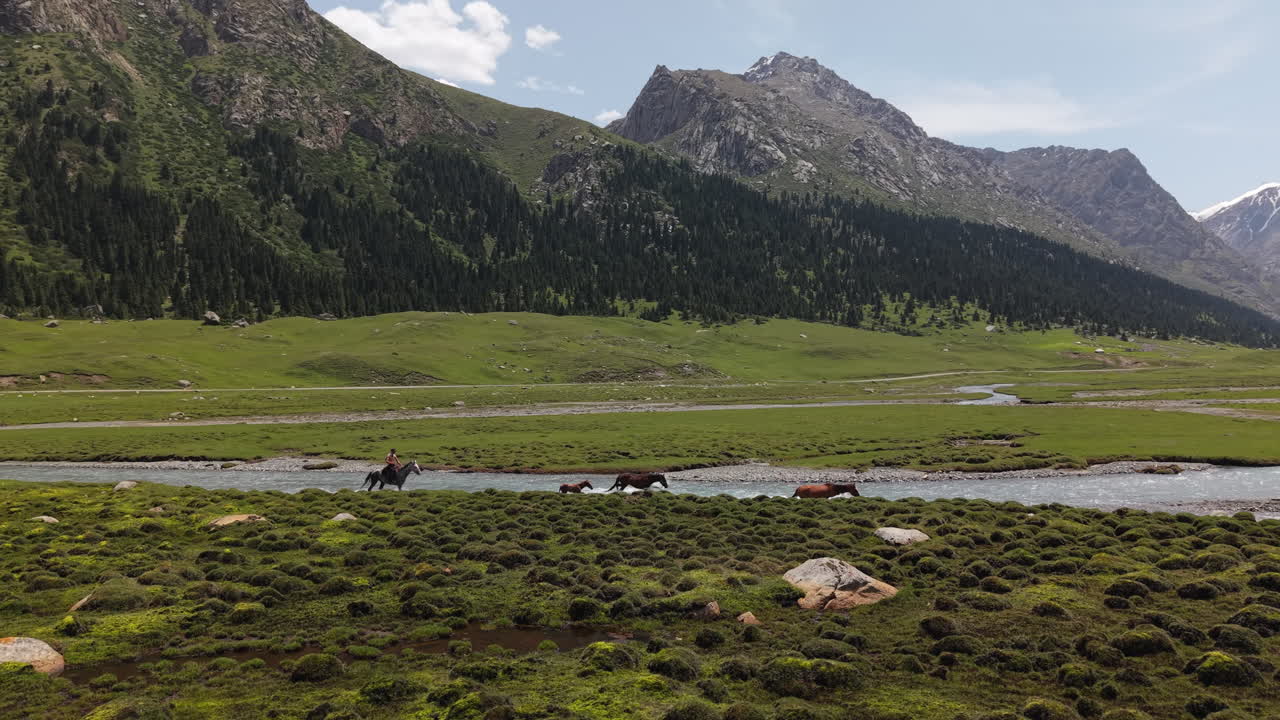 Horses Running Over Water Stream River In Kyrgyzstan - Drone Shot