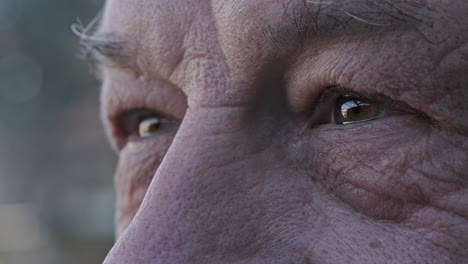 eyes of an old man staring at something with wrinkles on his face