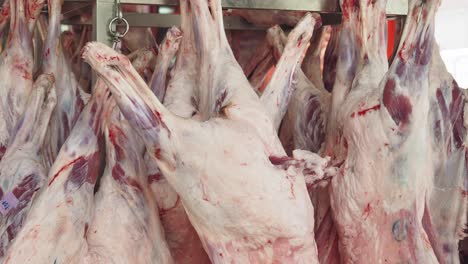 hanging animal carcasses in a meat market