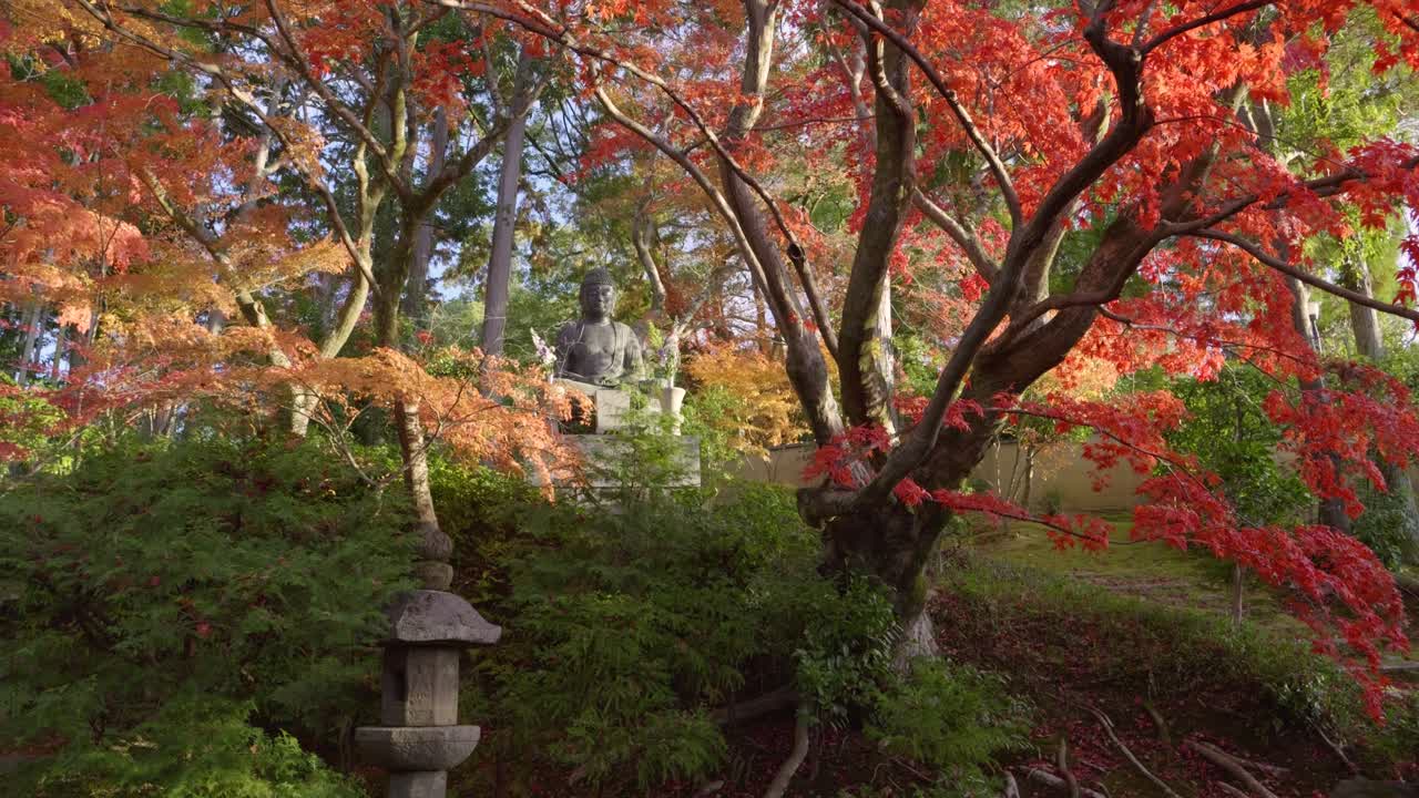 panorámica abierta en cámara lenta sobre los terrenos del santuario japonés en otoño