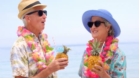 retired couple drinking cocktails on the beach