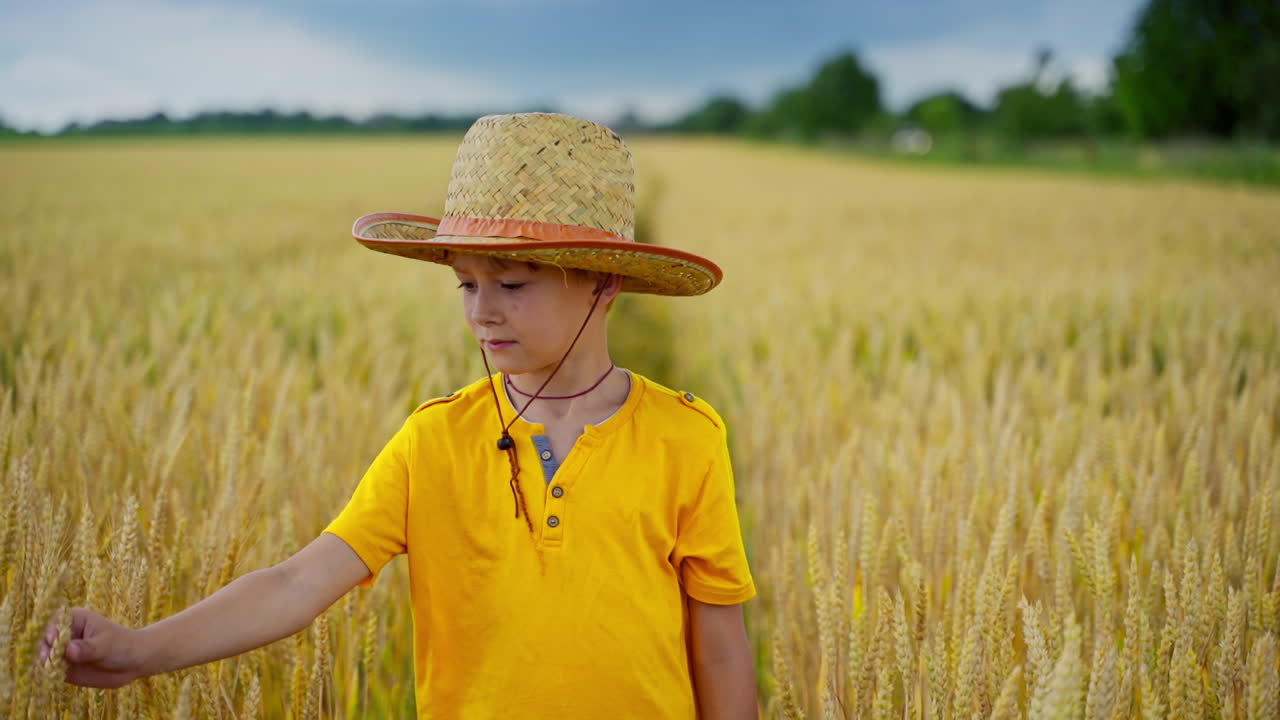 Boy in yellow t-shirt on field with spikelets. Portrait of a little farmer in hat among agriculture in the countryside.