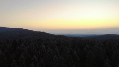 Aerial-clip-over-a-forest-in-the-Bavarian-Alps-area,-during-sunrise