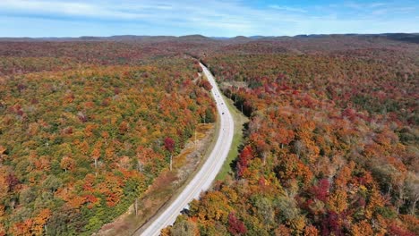 panorama of autumn forest with multi-colored leaves