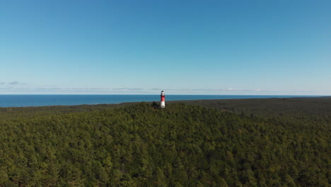 red and white lighthouse in the forest