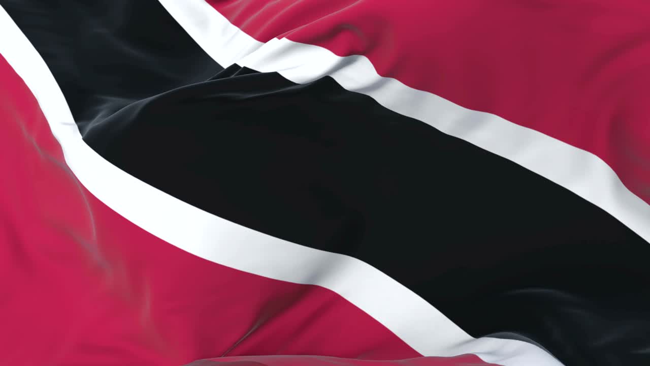 트리니다드 토바고의 발은 파란 하늘과 함께 느리게 바람에 흔들리고, 루프