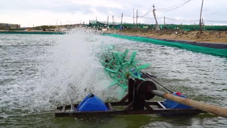 spinning turbines for water treatment at aquaculture shrimp farm in vietnam