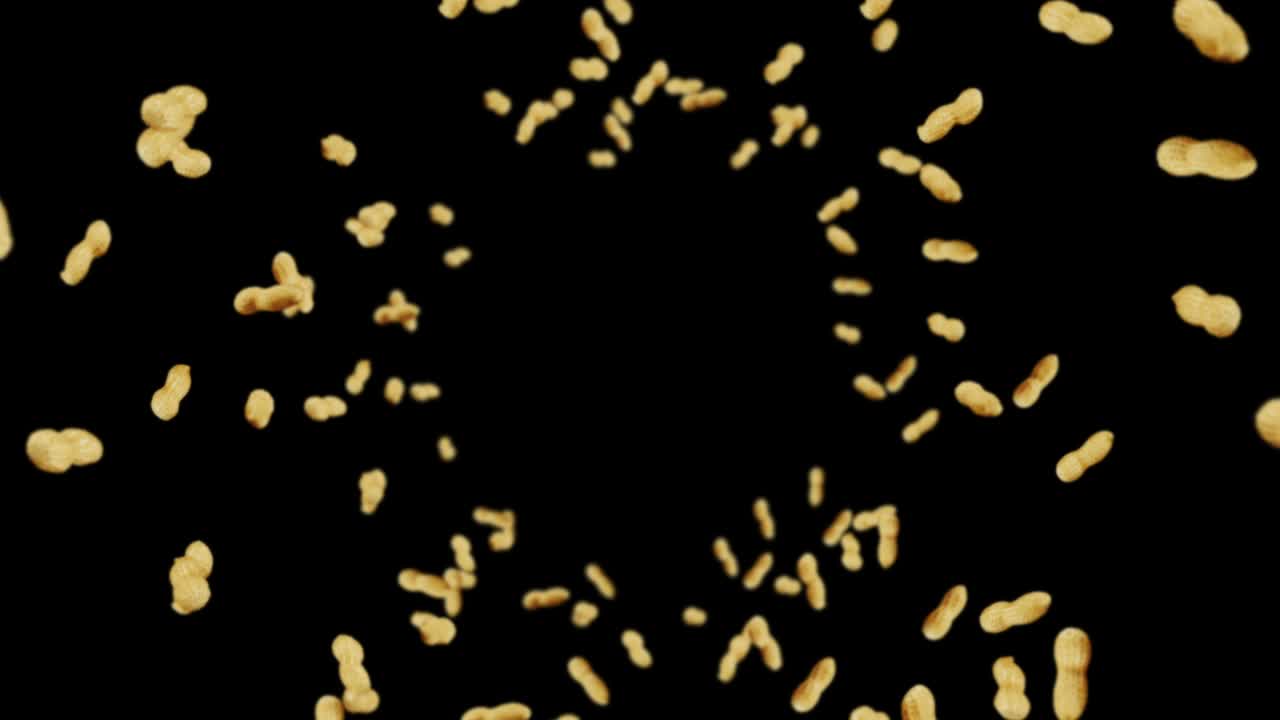 volare molte arachidi su sfondo nero. arachidi crudi. arachidi in gusci. cibo biologico sano. animazione a ciclo 3d della rotazione dei semi.