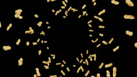 volando muchos cacahuetes en fondo negro. cacahuetes crudos. cacahuete en conchas. alimentos orgánicos saludables. animación de bucle 3d de la rotación de semillas.