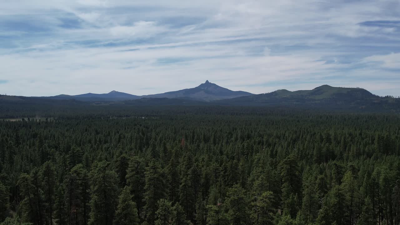 aéreo: volando a través de los árboles en el bosque de oregon hacia el monte washington