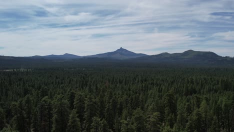 aerial: flying through trees in oregon forest toward mount washington