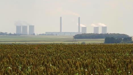 Campos-De-Sorgo-En-El-Estado-Libre-De-Naranja-Junto-A-La-Central-Eléctrica