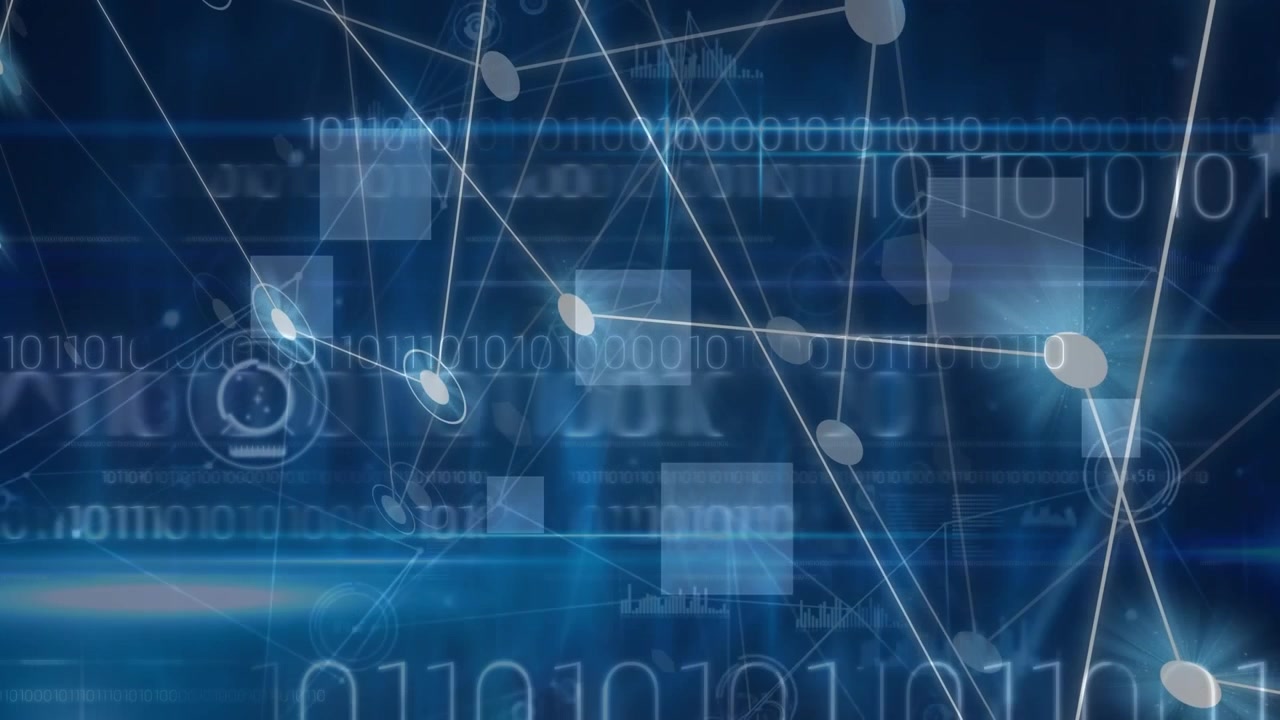 Animation of network of connections over data processing