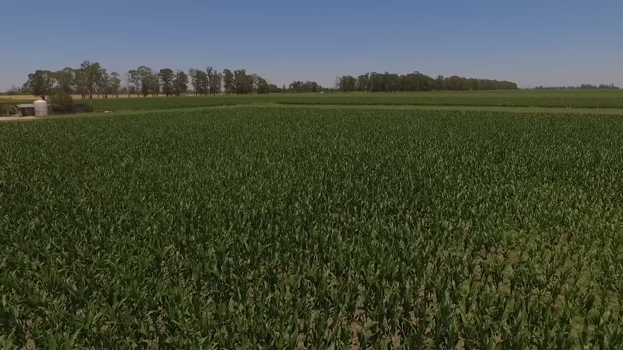 Aerial shot of a crop field with a white car passing in the background