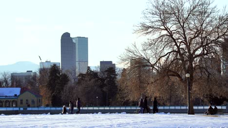 people spending time in a park against a background of denver skyline