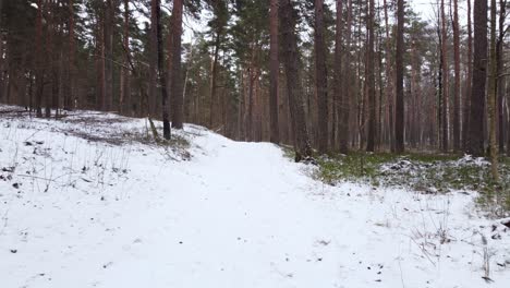 Viaje-Dentro-Del-Bosque-Congelado:-Imágenes-De-Drones-Del-Bosque-Bikernieku-En-Invierno-Nevado