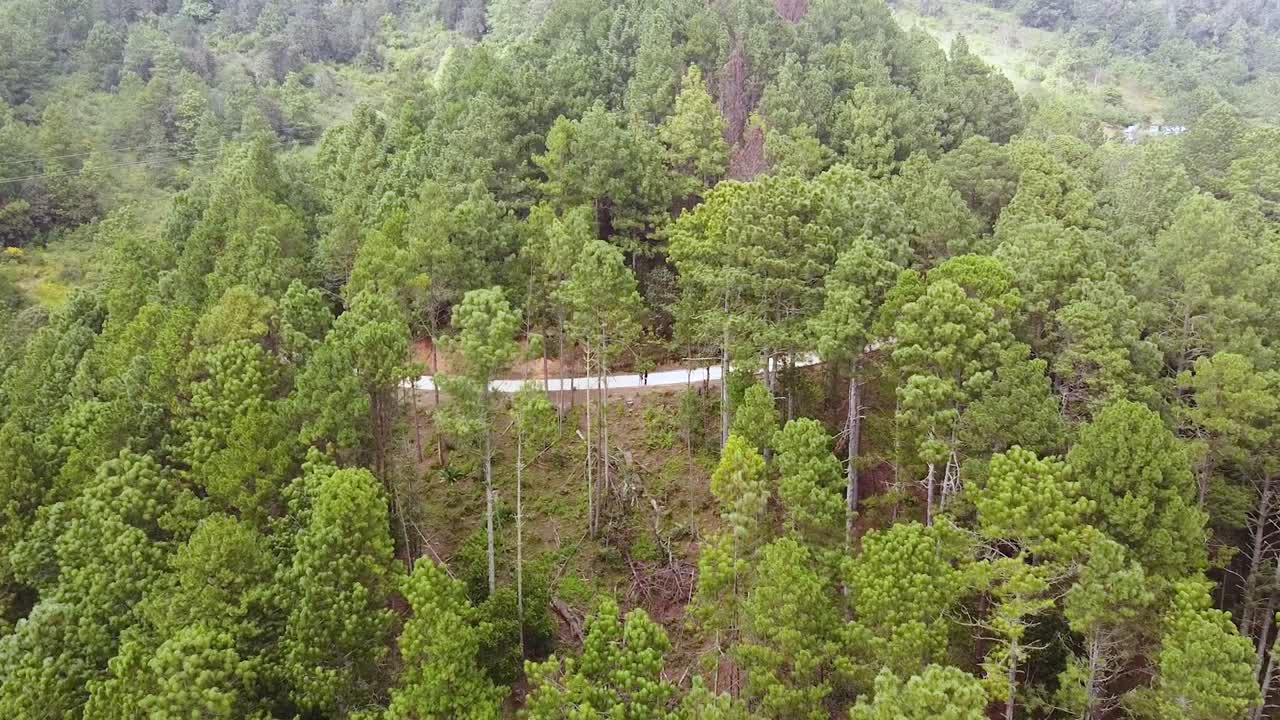 fotografía aérea de aviones no tripulados de senderos de montaña y vegetación en oaxaca