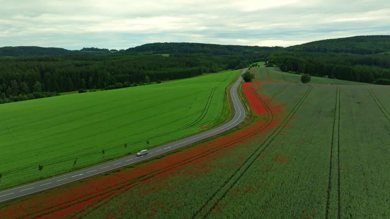 Rural landscape with passing cars around poppy fields. Romantic evening atmosphere in the Czech Republic. Drone view