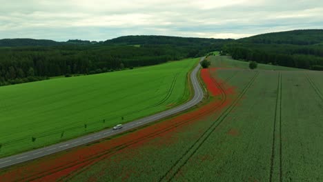 rural landscape with passing cars around poppy fields. romantic evening atmosphere in the czech republic. drone view