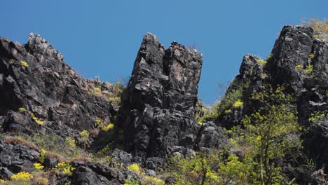 rocas oscuras y marchitas cubiertas de exuberante vegetación primaveral