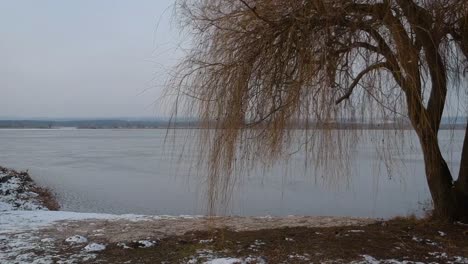 Drone-footage-at-the-lake-Kis-Balaton-in-winter