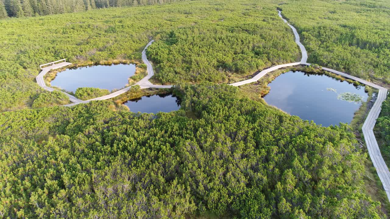 Wooden footbridge along Lovrenska Lakes and forest. aerial