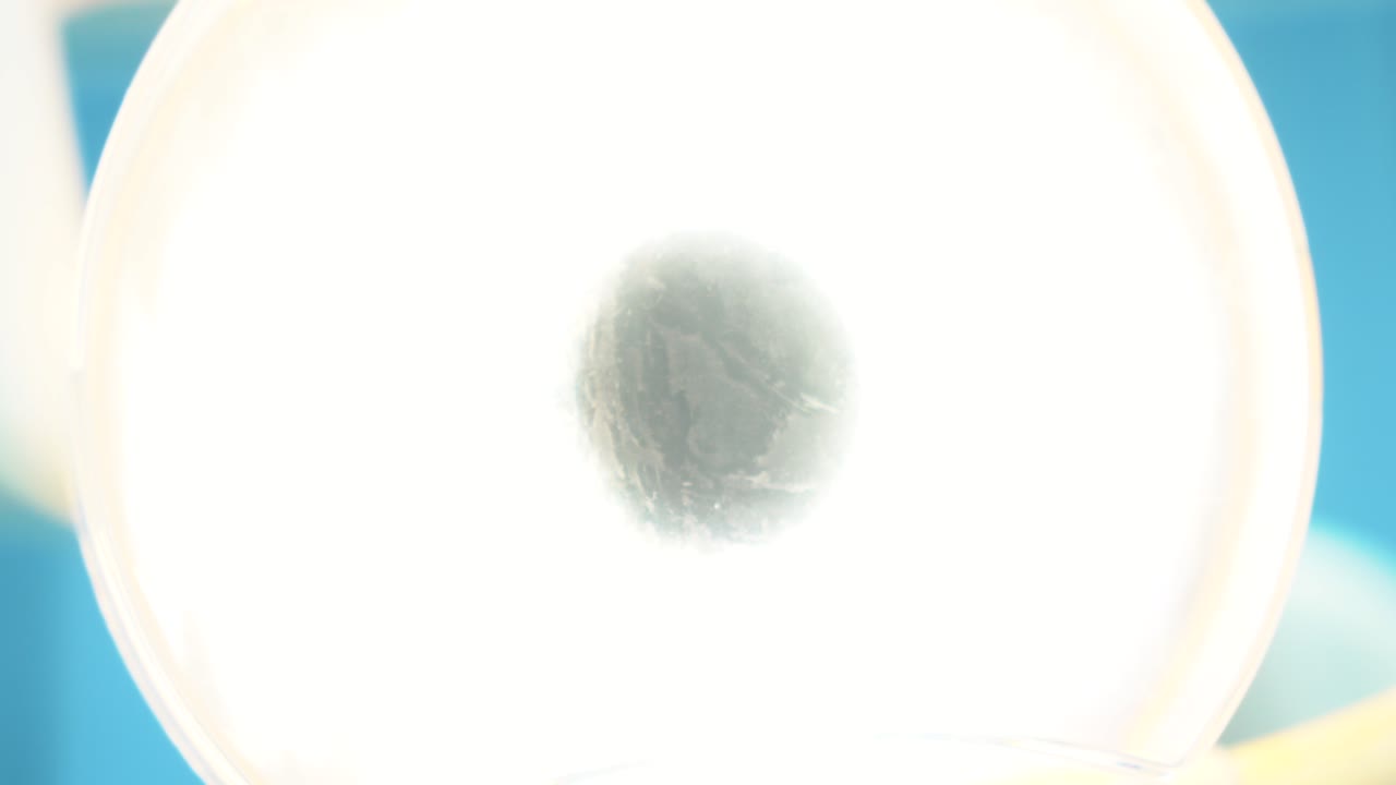 치아 빛 클로즈업