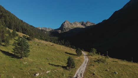 toma aérea de un grupo de amigos caminando por la montaña por la tarde con el sol poniéndose