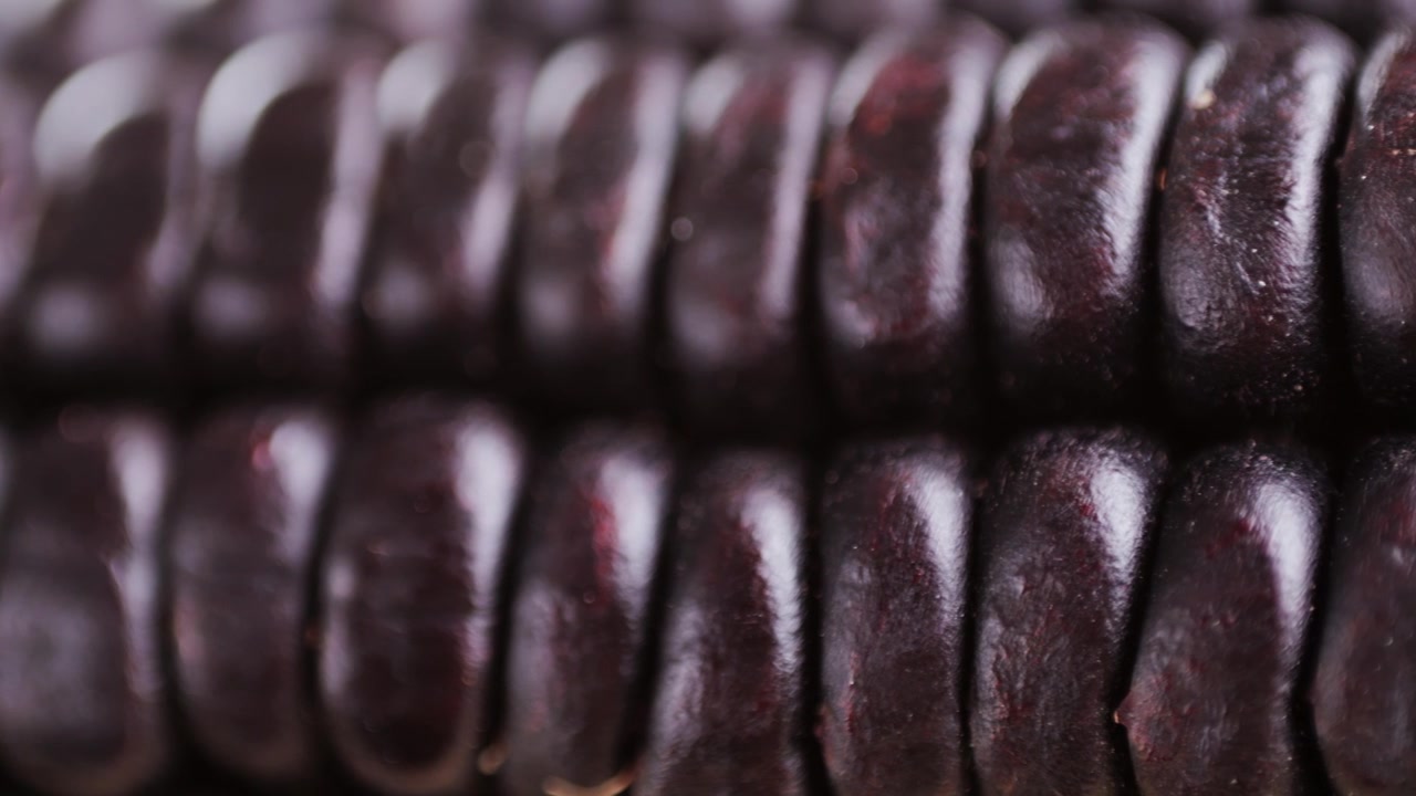 Macro Close-up of Dark Purple Corn Kernels on a Cob
