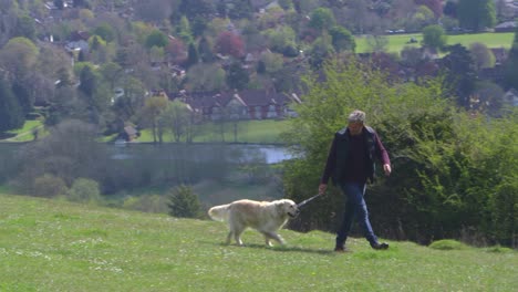 mature man takes dog for walk in countryside shot on r3d