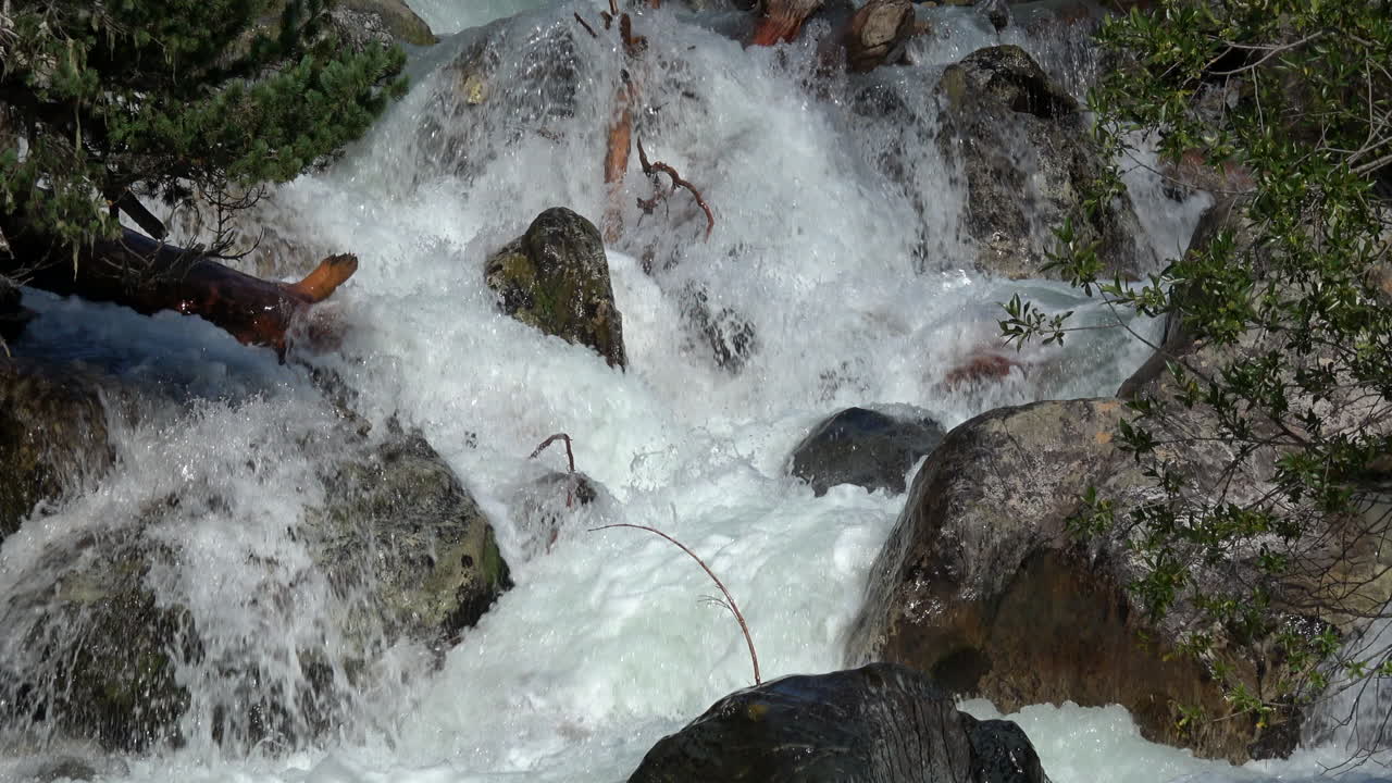 Rapido torrente di montagna con rapide spumeggianti che scorre impetuoso su massi e rami caduti a Dombay, Caucaso, Russia, uno scatto di dettaglio di paesaggio naturale.