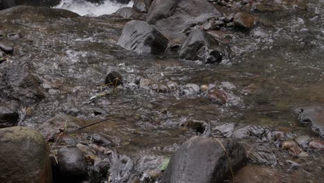 Motionless perspective of a river’s graceful, slow movement
