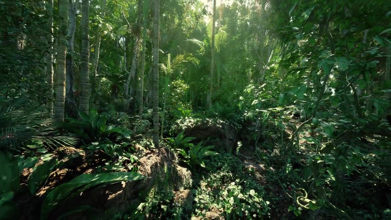 Radura tropicale silenziosa, ideale per sessioni di meditazione e guarigione.