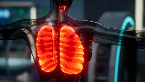 examen radiológico de pulmones humanos en laboratorio
