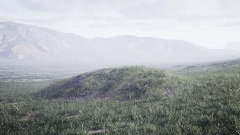 Mound of grass in a serene landscape with distant mountains and overcast sky