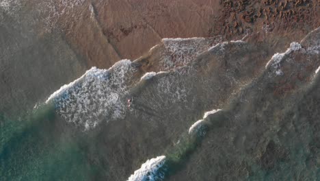 Beautiful-top-down-aerial-view-of-two-people-standing-in-ocean-sea-water-as-waves-roll-in-Calheta-sandy-beach-shoreline,-Portugal,-overhead-aerial-static