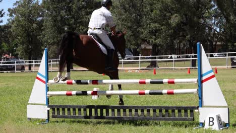 horse and rider jumping over an obstacle