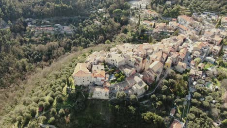 top view of village in the middle of the forest