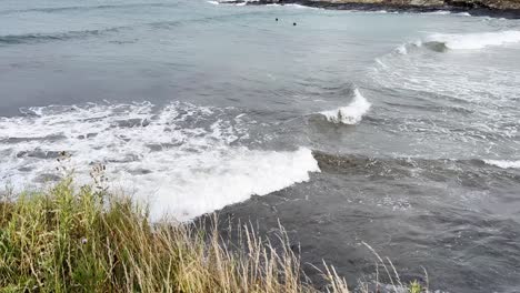 ocean waves and surfers from a grassy coast