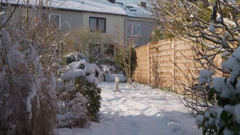 motion shot of snow in a garden