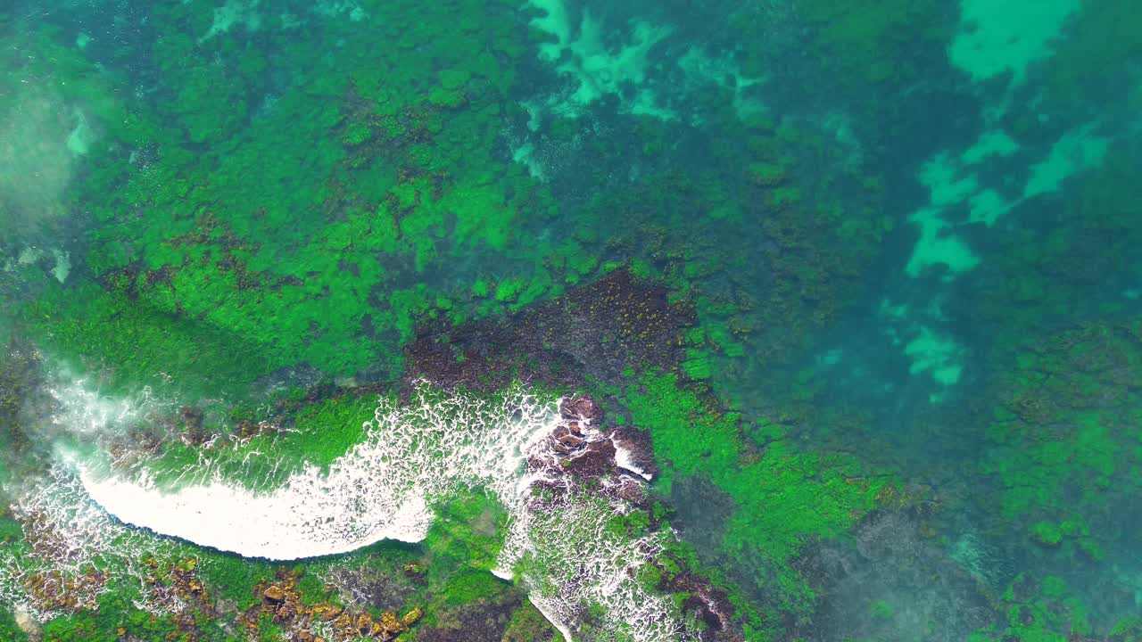 Drone aerial bird's-eye shot of clear ocean reef sea landscape with seaweed cunji rocky coastline NSW Central Coast Australia 4K