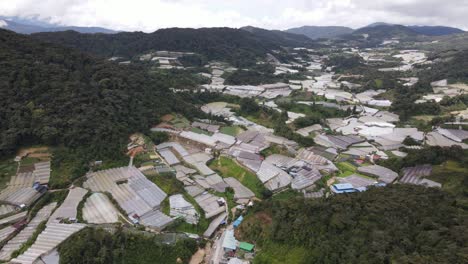 general landscape view of the brinchang district within the cameron highlands area of malaysia