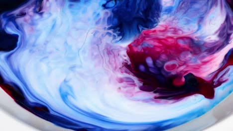 watch vibrant blue and red colors swirl and blend dynamically in a captivating milk experiment.