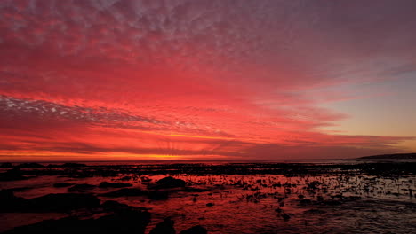 Clouds-on-fire-in-sky-at-sunset,-panning-shot-over-ocean-kelp-forest