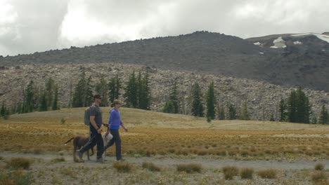 hikers walk with their dog